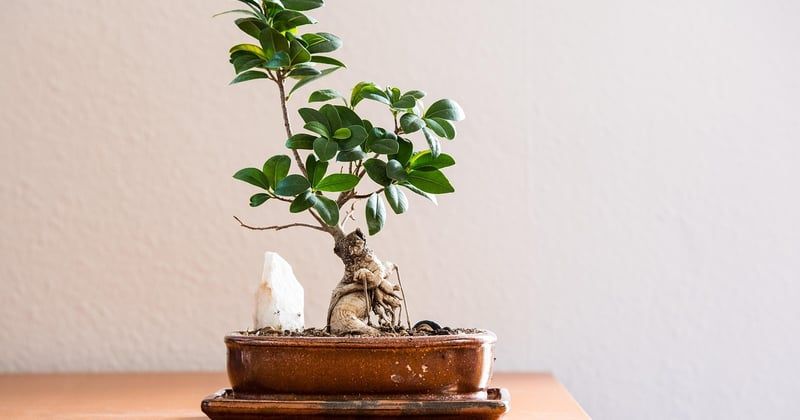 Optimiser l'aménagement d'un salon en longueur : 7 astuces qui changent tout